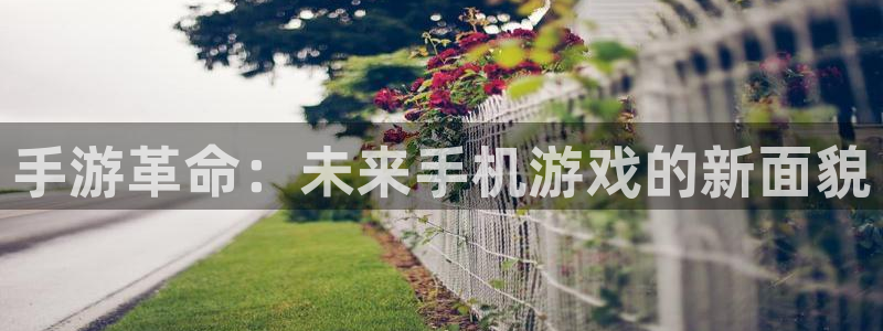 恒盛娱乐登陆：手游革命：未来手机游戏的新面貌
