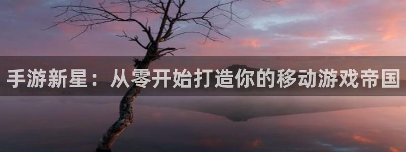恒盛娱乐首页：手游新星：从零开始打造你的移动游戏帝国