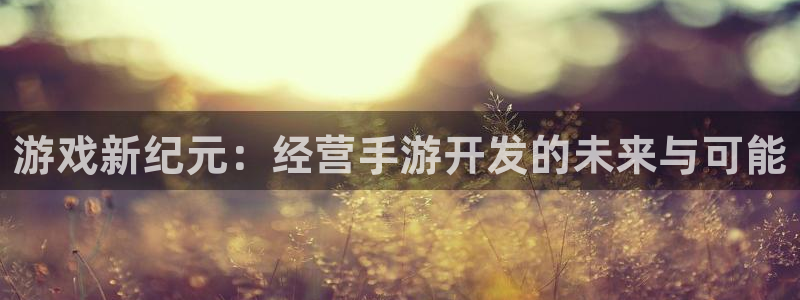 恒盛娱乐登录：游戏新纪元：经营手游开发的未来与可能