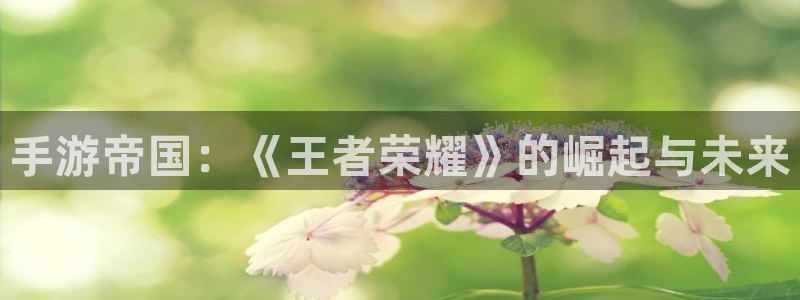 恒盛娱乐登陆：手游帝国：《王者荣耀》的崛起与未来