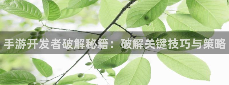 恒盛娱乐注册：手游开发者破解秘籍：破解关键技巧与策略