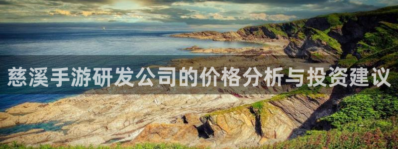 恒盛娱乐app：慈溪手游研发公司的价格分析与投资建议