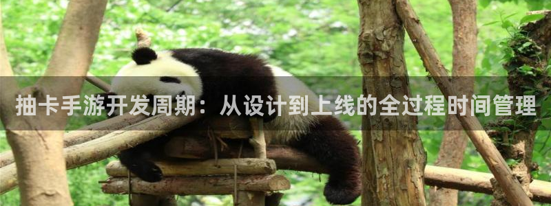 恒盛娱乐：抽卡手游开发周期：从设计到上线的全过程时间管理
