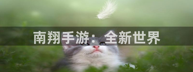 恒盛娱乐注册：南翔手游：全新世界