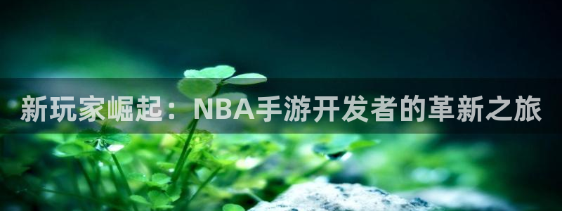 恒盛娱乐登陆：新玩家崛起：NBA手游开发者的革新之旅