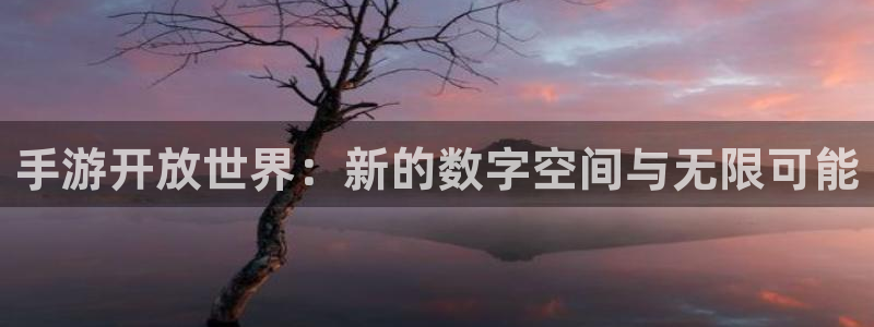 恒盛娱乐app：手游开放世界：新的数字空间与无限可能