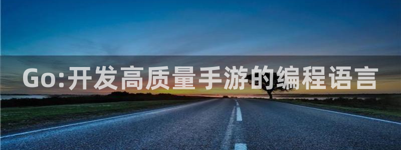 恒盛娱乐app：Go:开发高质量手游的编程语言