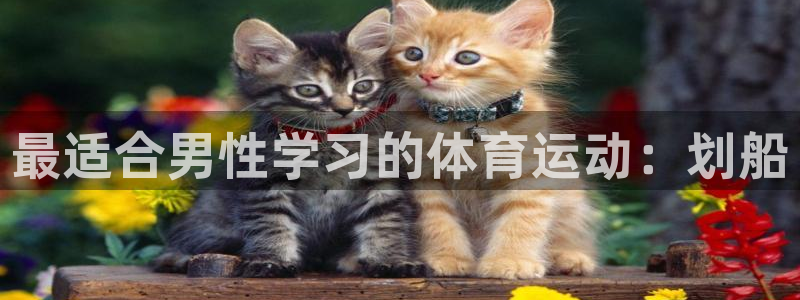 xc体育