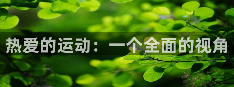 xc体育app官方网站