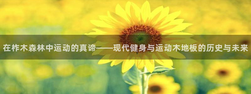 xc体育